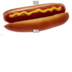 ha? hatdog with bread and mastard