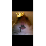 Toasty MC toast group