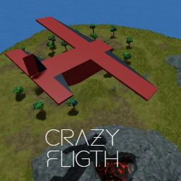 Crazy Flight