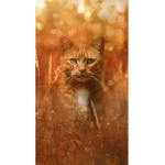 Curious kitty cats
