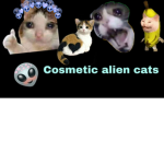 Cosmetic alien cats