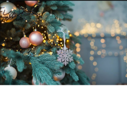 The Christmas Party