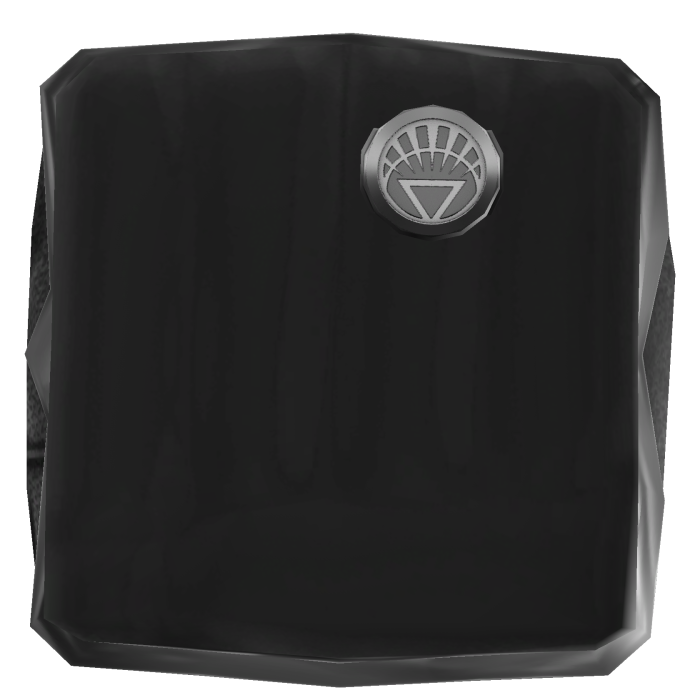 WL's Hal R Arm R6