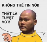 A xin