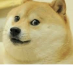 doge land studios