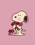 ・astrostar・