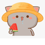 WATERMELON SQUAD!!!!!