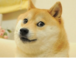 Doge Company Of Robloxia