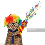 Kittys world