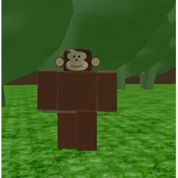 Monkey In A Room