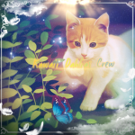 Kawaii Dahlias crew