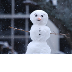Snowdio