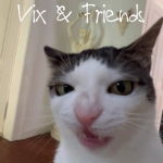 Vix & Friends