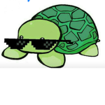 XD Turtles