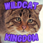 The Wildcat Kingdom
