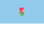 Tulip Clothing