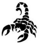 S.S.F. Scopion Special Forces