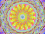°ʜᴏʟʟɪꜱᴛᴇʀ°