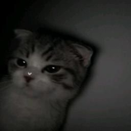 dark icon