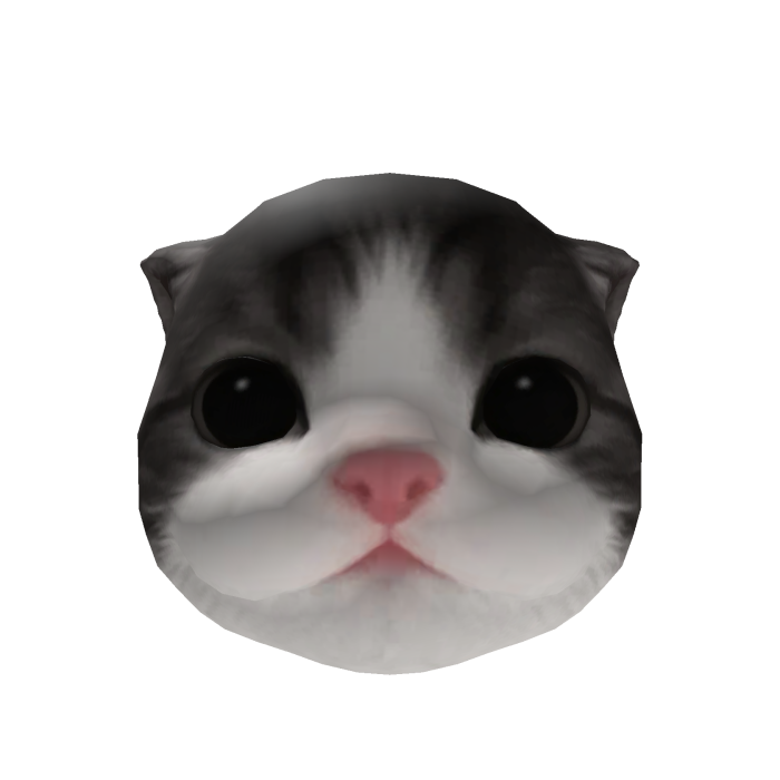 Little Kitten Head