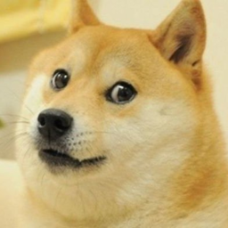 Cart Ride Into Doge