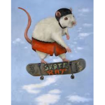 ROBLOX Skaters Haven