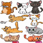 Mewlin's Magical Meow Group