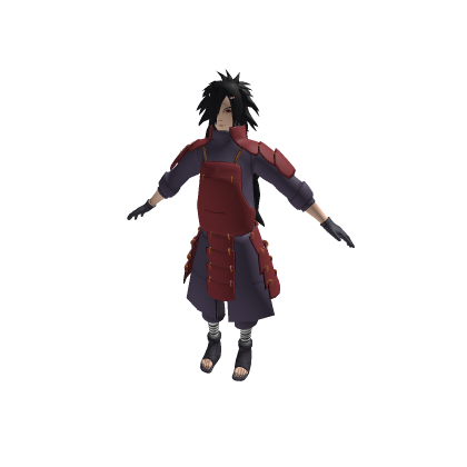 Ninja sasku