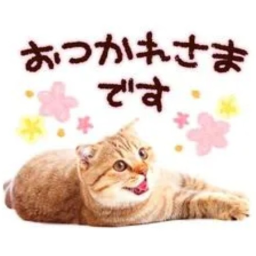 .ᐟ