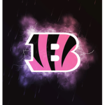 Bengals Cheer Club