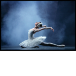 The White Swans dance team!