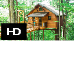 HD Admin Treehouse