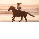 -w- team unicornio -w-
