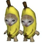 La familia kitty