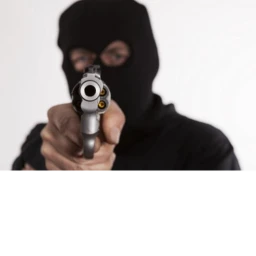 survive without the robbers icon