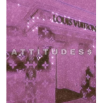 A T T I T U D E $