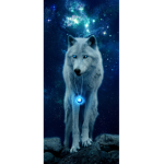 The moon light clan