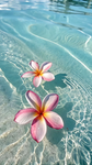 Niihau