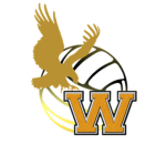 Washino Volleyball team