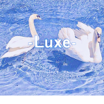 -Luxe-