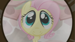 Starssssssssssssssssssssss