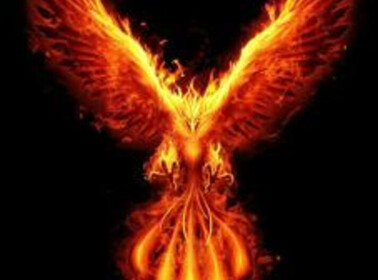 Phoenix