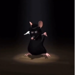 _Rat gang_