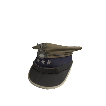 Polish Hat Mesh