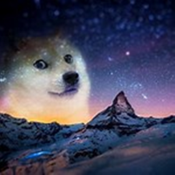 The Doge Society of doge's hangout map