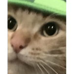 Where are my nuggies