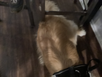 FfudfdhufgfhuffvFishy