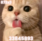 873x3