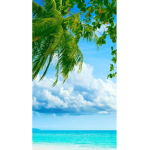 Tropical Margarita