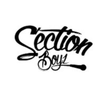 anarchy section boyz